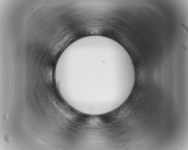 X0000103940262200810031329