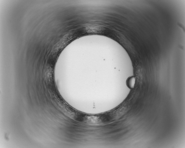 X0000103940265200810031329