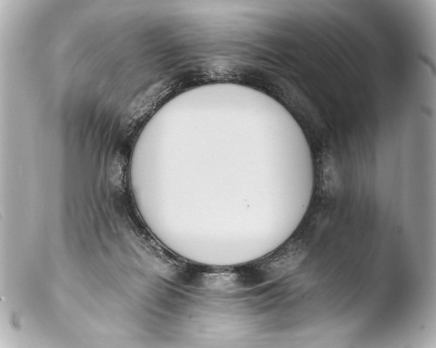 X0000103940266200810031329