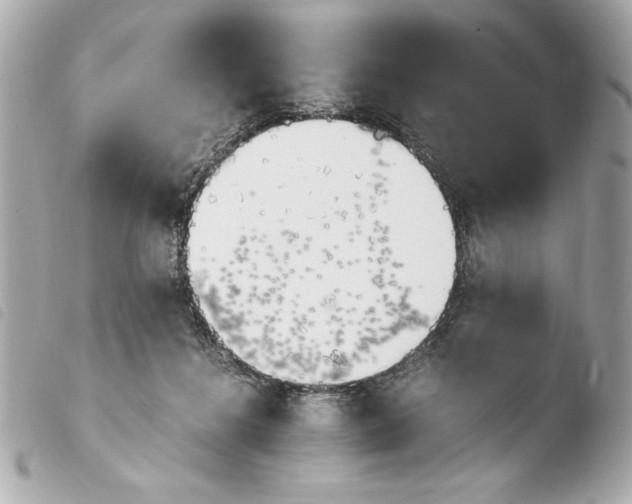 X0000103940268200810031329