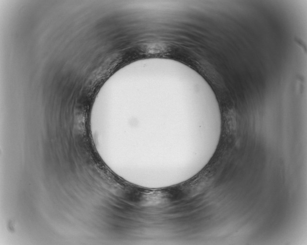 X0000103940269200810031329