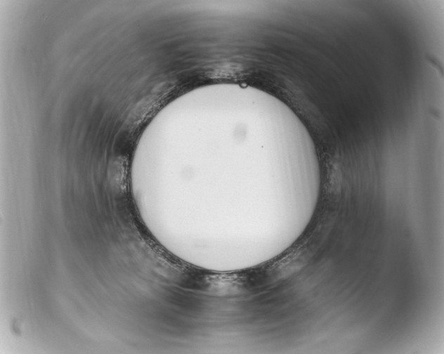 X0000103940273200810031329