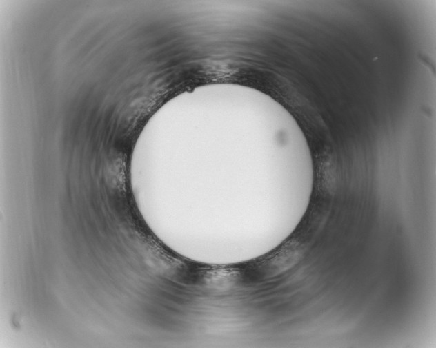 X0000103940274200810031329