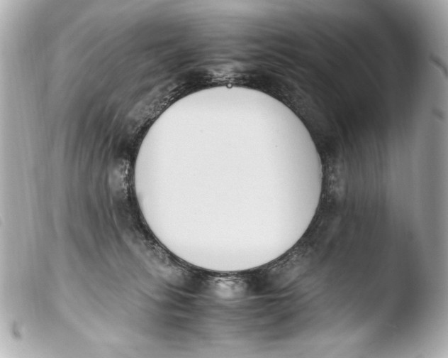 X0000103940275200810031329