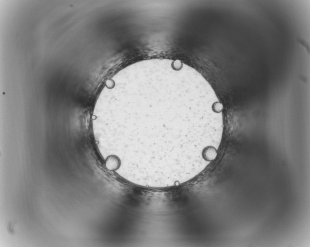 X0000103940276200810031329