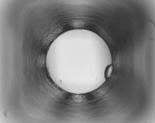 X0000103940277200810031329