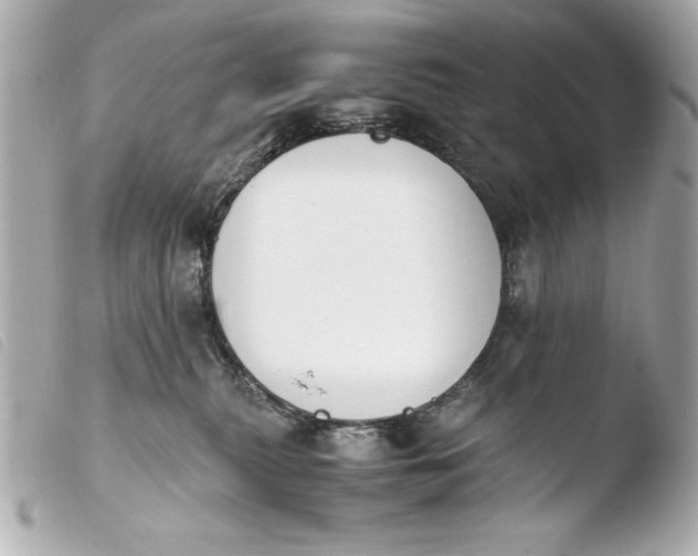 X0000103940279200810031329