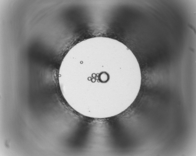 X0000103940280200810031329