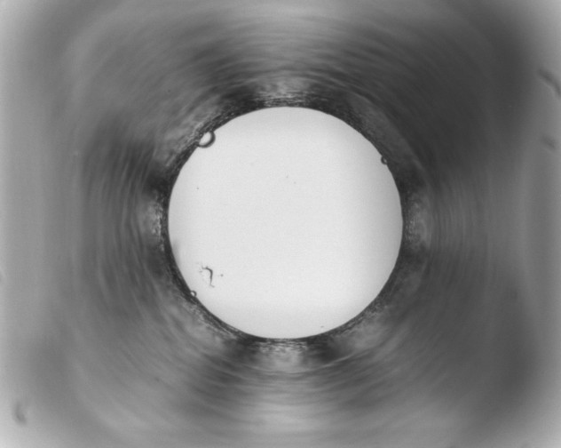 X0000103940282200810031329