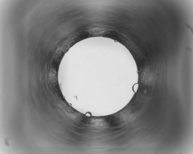 X0000103940283200810031329