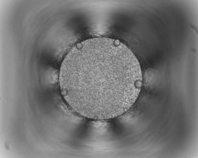 X0000103940284200810031329