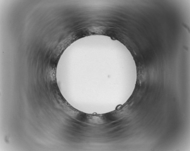 X0000103940285200810031329