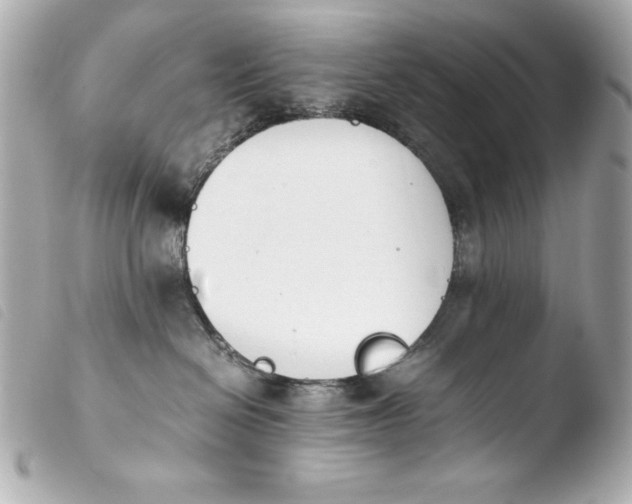 X0000103940286200810031329