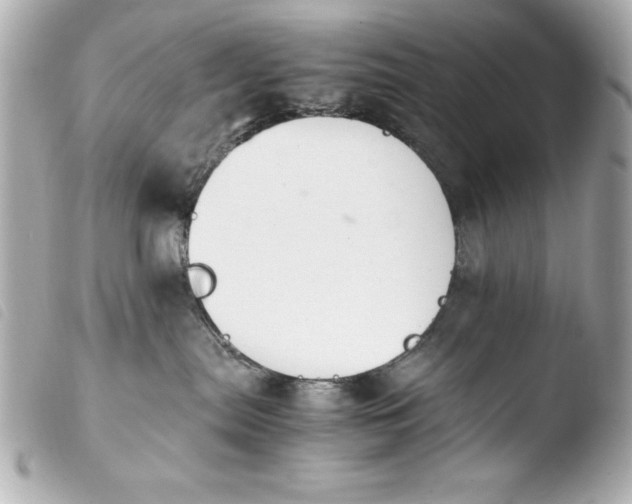 X0000103940287200810031329