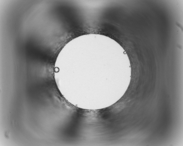 X0000103940288200810031329