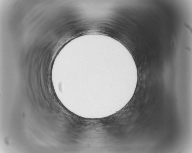 X0000103940289200810031329