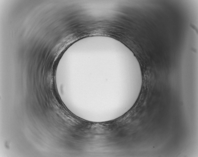 X0000103940290200810031329