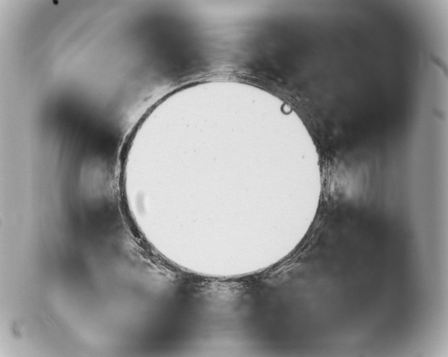 X0000103940292200810031329