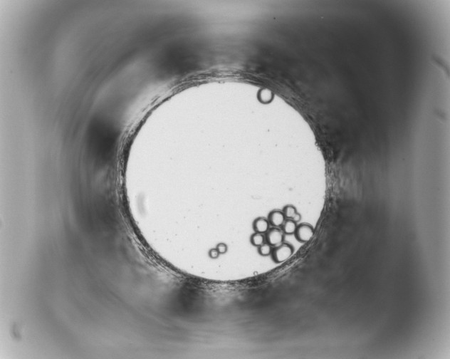 X0000103940293200810031328