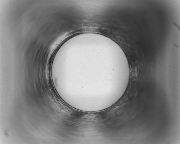 X0000103940294200810031328