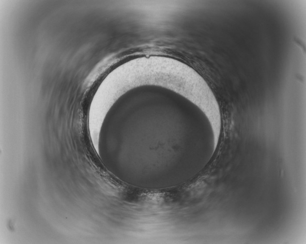 X0000103940295200810031328