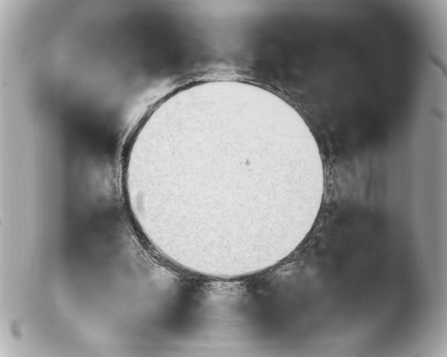 X0000103940296200810031328