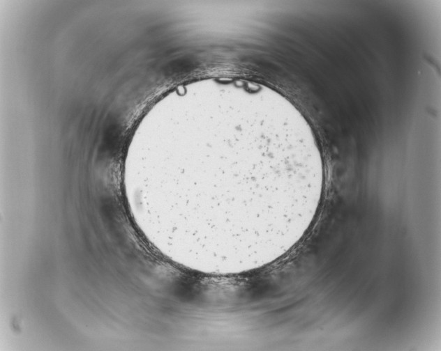 X0000103940297200810031328