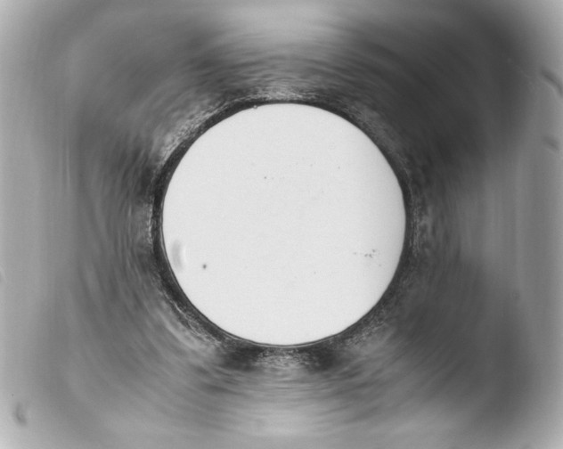 X0000103940299200810031328