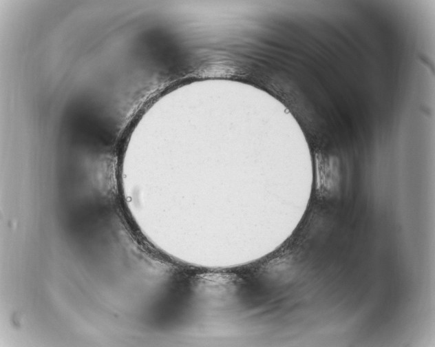 X0000103940300200810031328