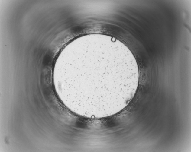 X0000103940301200810031328