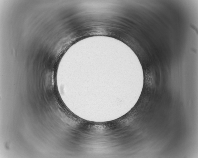 X0000103940302200810031328