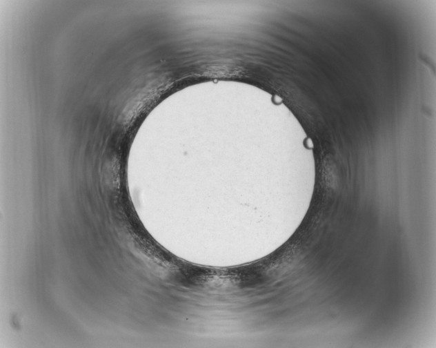 X0000103940303200810031328