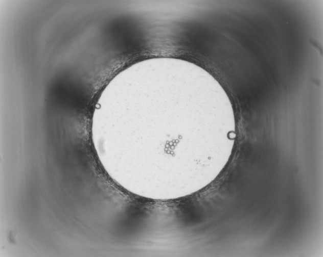 X0000103940305200810031328