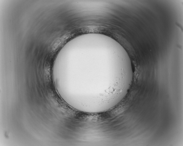 X0000103940306200810031328