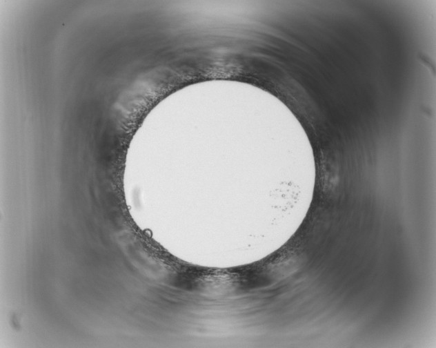 X0000103940307200810031328