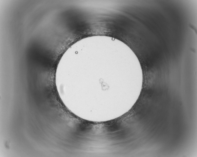 X0000103940309200810031328