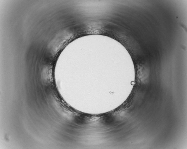 X0000103940312200810031328