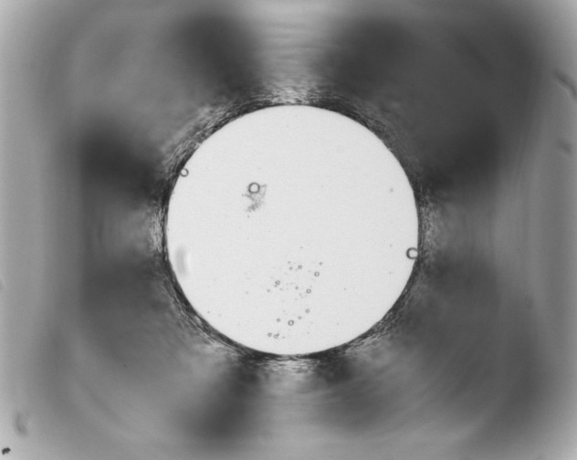 X0000103940313200810031328