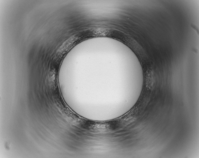 X0000103940314200810031328