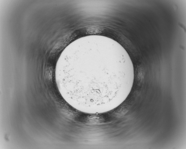 X0000103940315200810031328