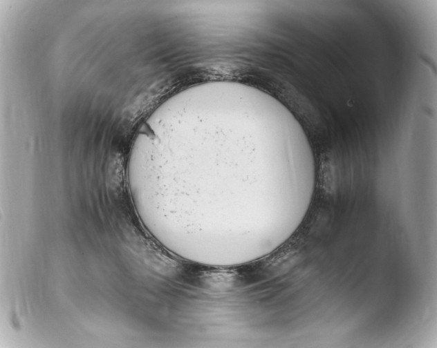 X0000103940318200810031328