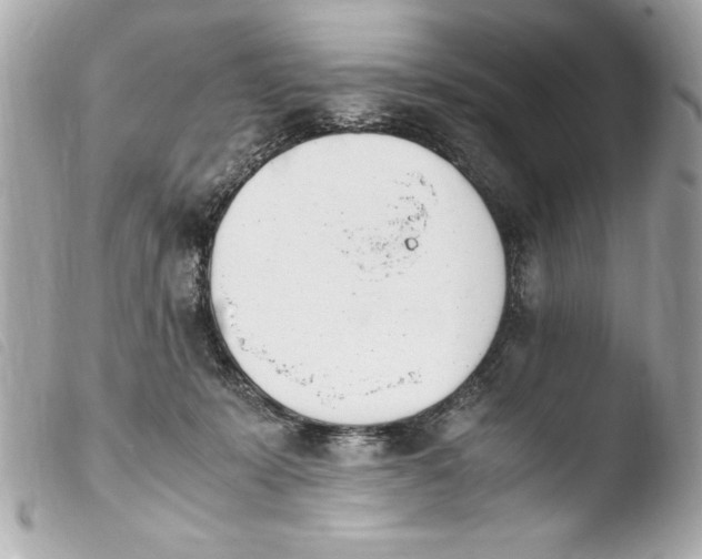 X0000103940319200810031328