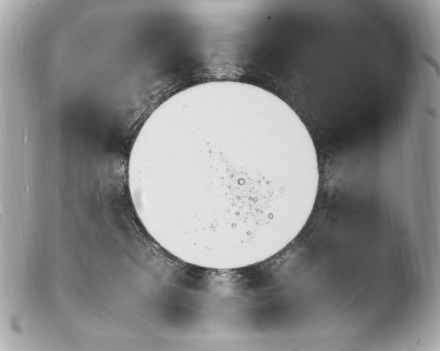 X0000103940321200810031328