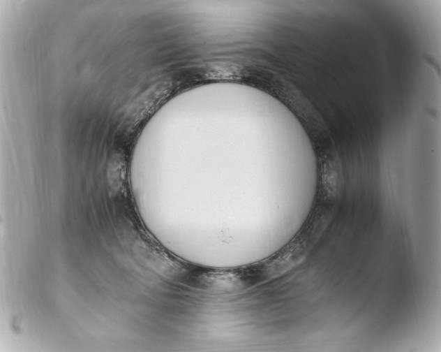 X0000103940322200810031328