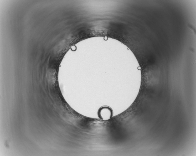 X0000103940323200810031328