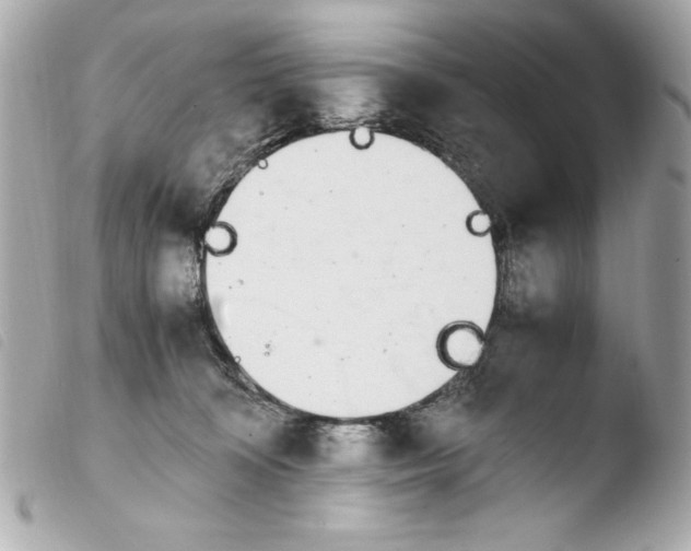 X0000103940324200810031328