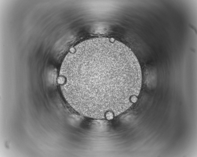 X0000103940328200810031328