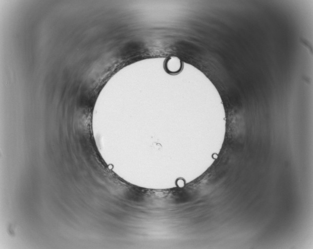 X0000103940329200810031328