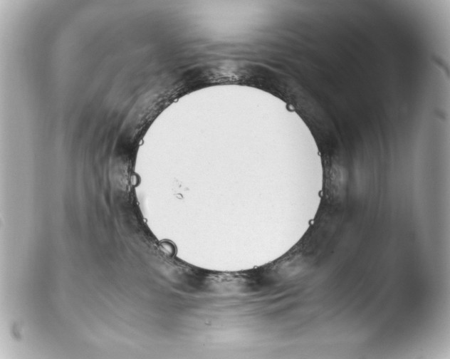 X0000103940331200810031328