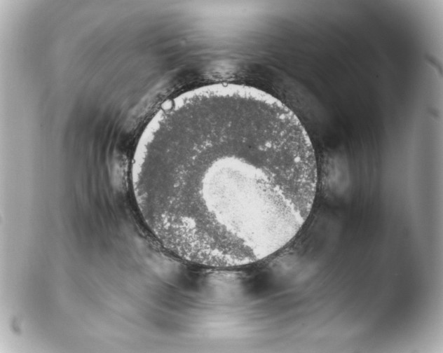 X0000103940332200810031328